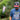 4th of July Gear