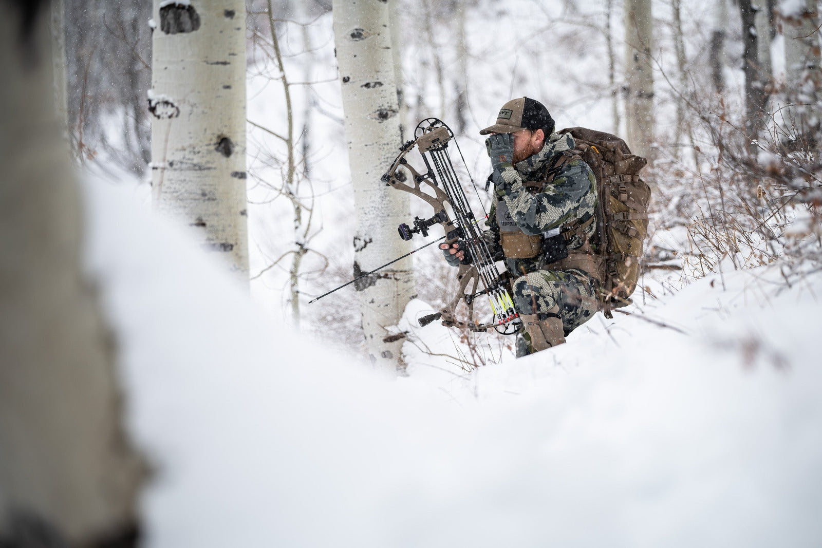 Bow Quivers Hoyt Archery