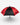 Hoyt Umbrella